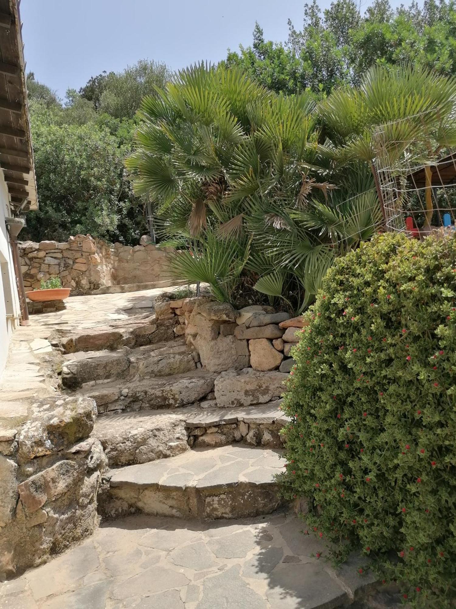 Il Lentischio Hotel Cala Sapone Exterior photo